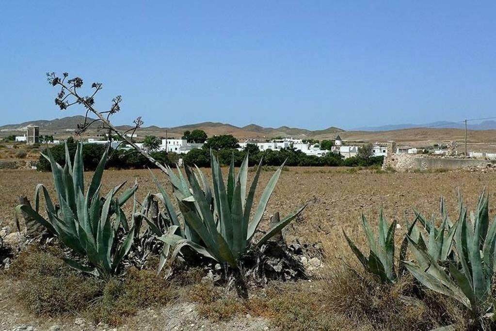 Cortijo Los Garridos - Fernán Pérez Exterior foto