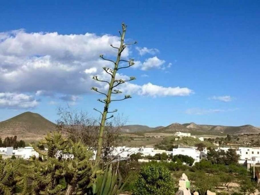 Cortijo Los Garridos - Fernán Pérez Exterior foto